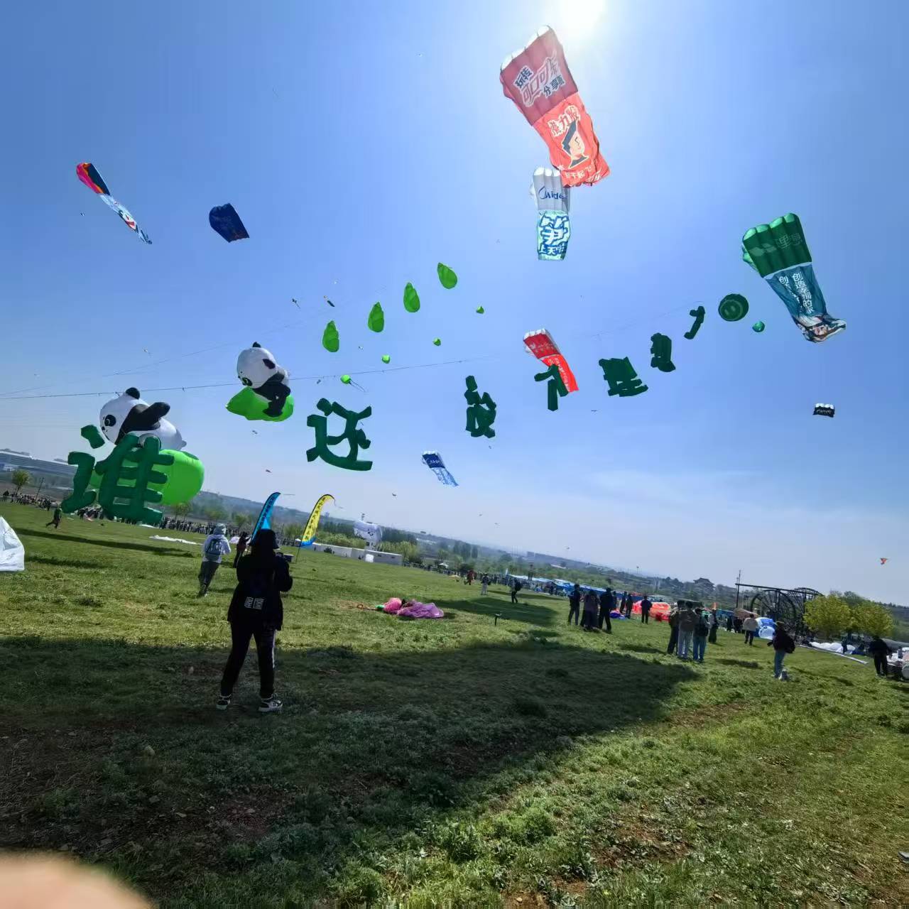 泸州市宣传风筝定制风筝定制 - 方案